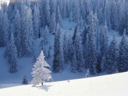 kola v prrode HUTY - Okolie - Ubytovanie Liptov a Orava